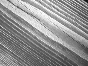 wood black and white background